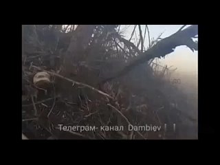 Видео разгрома колонны бронетехники украинских формирований на Запорожском направлении от первого лица.
