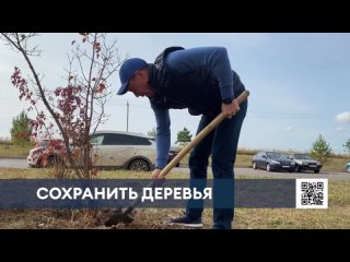 Мэр Нижнекамска показал мастер-класс по поливу деревьев