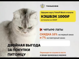 Специально для хвостатых модников!