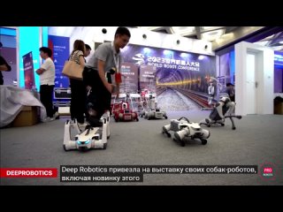 WRC 2023 - China's largest robot exhibition | Robots and technologies at the exhibition in China (c)PRO ROBOTS