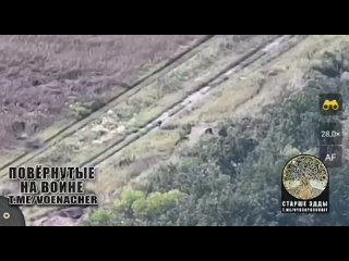 #СВО_Медиа #Kotsnews
Снайперский заход народного дрона-камикадзе «Упырь» в блиндаж хохла.