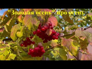 “Осень, она не спросит, осень, она придет“ написала в 1963 году семнадцатилетняя Ирина Левинзон.