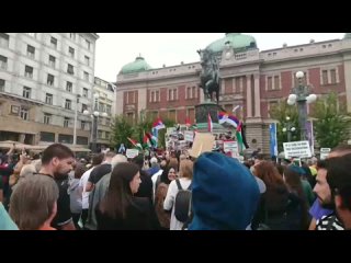 🧿 Joined the rally in Belgrade in support of Palestine today