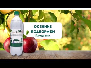 White Abstract Healthy Food Youtube Channel Art, копия (13).mp4