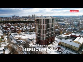 10.Берёзовая роща