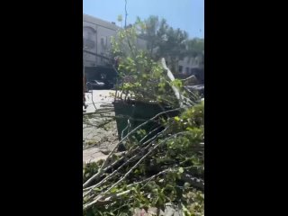 Шквалистый ветер в Махачкале повалил десятки деревьев, некоторые упали на машины и оборвали провода