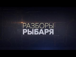 Разборы Рыбаря: итоги 8 октября 2023 года