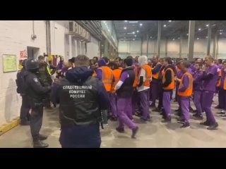 Силовики накрыли банду «пурпурных» мигрантов в Котельниках