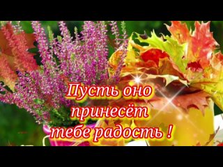 видеооткрытка_доброе_утро_прекрасного.mp4