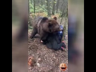“Необычные питомцы: как мужчины играют с домашним медведем“.