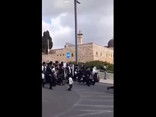 Colonos israelíes a la fuga de Al-Quds