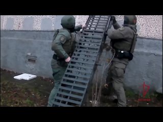 Задержали жительницу Архангельска, устроившую наркопритон в жилом доме