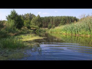 Визуальная экокультура - Малые реки