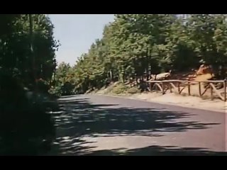 Атлантический вал (Франция, Италия 1970)комедия, военный