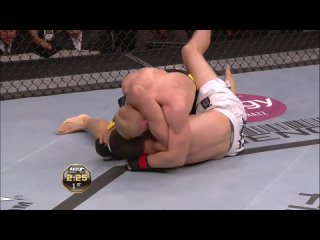 Dennis Siver vs. Dale Hartt UFC 99 - 13 июня 2009