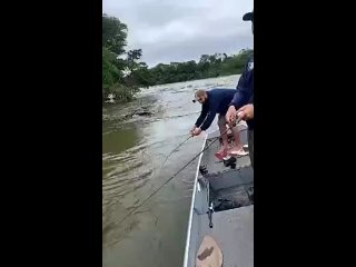Вроде не очень большая рыба, а борется так, что рыбаки чуть с лодки не падают