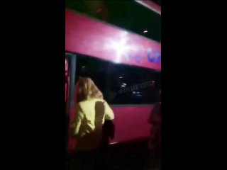 На видео – реакция пассажира рейсового автобуса Бухарест-Одесса на ночной «инцидент» на переправе Орловка-Исакча между Украиной
