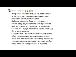 [Петя Лобстерсон] Что исчезло, а никто не заметил?