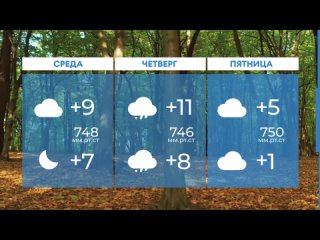 Прогноз погоды в Нижнекамске на 31-е октября 2023 года