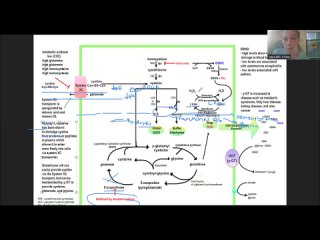 Maximizing Glutathione (in the presences of excess NO or ROS)