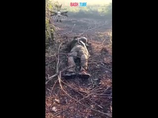 🇺🇦🇷🇺 «Чёрные гусары» уничтожили группу украинских боевиков