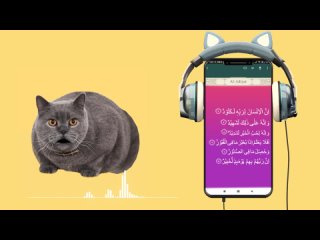 119. Animation Cute Cat Recite Juz Amma Al - Adiyat