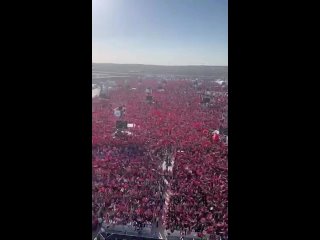 Жители Стамбула вышли на митинг в поддержку Палестины