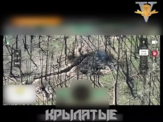 Фиксируем прилет в блиндаж🔥

Наш fpv-дрон демонтировал еще одно укрытие хохлов. Экспресс-выселение прошло успешно!