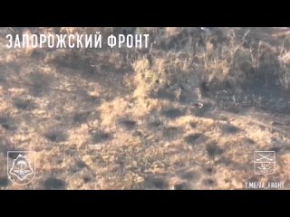 🇷🇺🇺🇦Армейский спецназ “Осман“ продолжает работать на Ореховском направлении своими ФПВ-дронами.