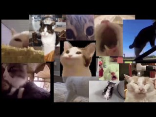 Korn - Got The Kitties (Official HD Video)