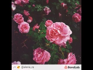 Alena Ra - Love You Like a Love Song (Selena Gomez live cover)