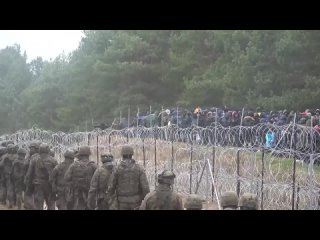 Мигранты штурмуют польскую границу — Минобороны Польши в этом обвиняет Беларусь и Россию