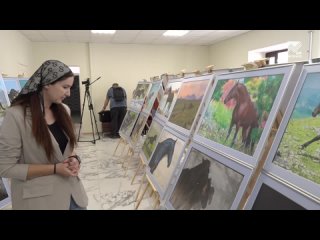 Фотовыставка «Карачаевская порода лошадей» открылась в СКГА