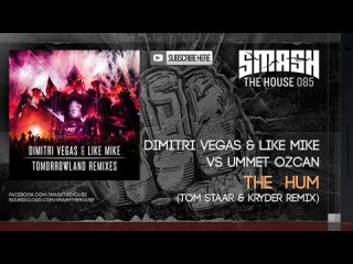 Dimitri Vegas  and Like Mike - Tomorrowland Remixes