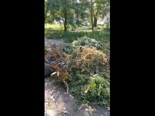 Бесконечный мусорный бардак в Курске.mp4