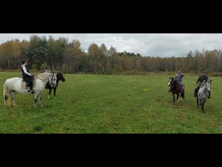 Видео от Конная База Отдыха “Сенавиан “ Конные прогулки.