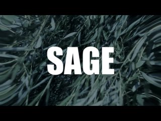Sage горизонтальный концерт медитация в Барнауле 5 ноября