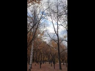 осень в цпкио, люблю шуршать листьями, видео 2020 года