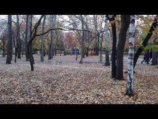 золотая осень 🍂 🍂 в цпкио,  2020.