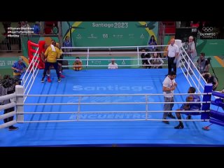 Кристиан Сальседо - Абнер Тейшера (Панамериканские игры 2023) полуфинал свыше 92