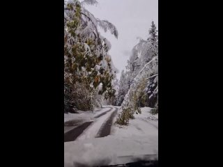 Сильный снегопад в Приозерском районе Ленинградской области ().