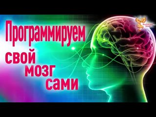 Как запрограммировать свой мозг на успех. Ксения Романова. Алексей Орлов. Алексей Орлов. Народное Славянское радио