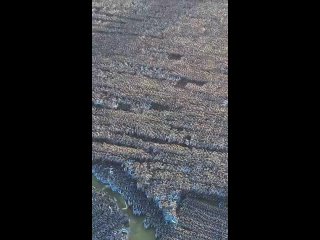 В Россию бы все отправили и раздали бесплатно. Наши бы весь брак исправили  бы. Было бы круто...экология... Все на... - Роман Перцев