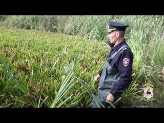 Пропавшего подростка в Лысковском районе нашли увязшим в болоте