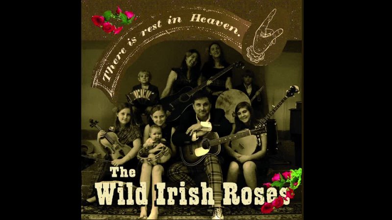 The Wild Irish Roses - Maggie May