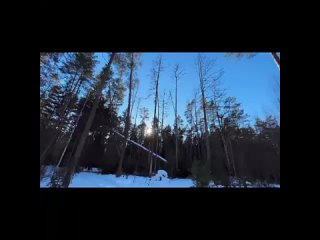 My Cold Of Winter(Version 2)[Дмитрий Котин,...,Sara Loera,AI TTS,Eniqma,Aquio,Apocalyptica]
