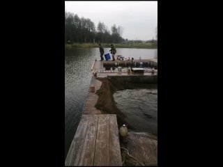 Видео от Платная рыбалка в РК “ШАПКИНО“ Наро Фоминск МО