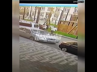 Толпа азербайджанцев в Екатеринбурге четыре раза нападала на русского мужчину и натравила на него «в