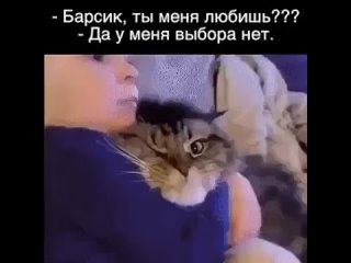 Барсик, ты меня любишь?)))))