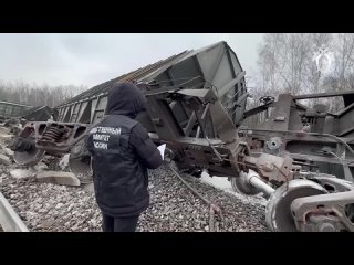 СК России возбудил дело о теракте после схода вагонов в Рязанской области